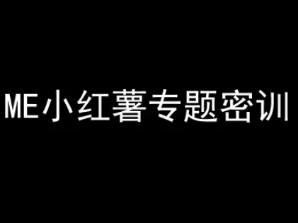 秒懂小红书-起号到转化实战指南,从转化模式到实操落地全攻略,让你破解流量玄学,做得有结果