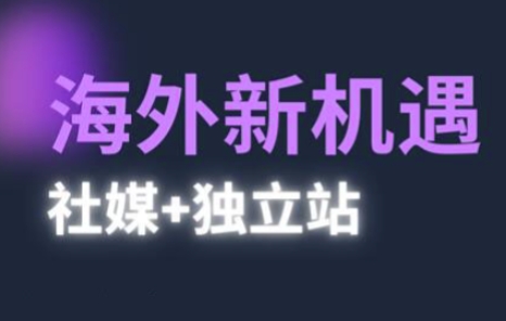 2025出海新机遇(社媒+独立站)，海外新机遇，实现独立站的高效运营与出海-AI创作学习-提示词应用-短视频玩法AI智创工坊