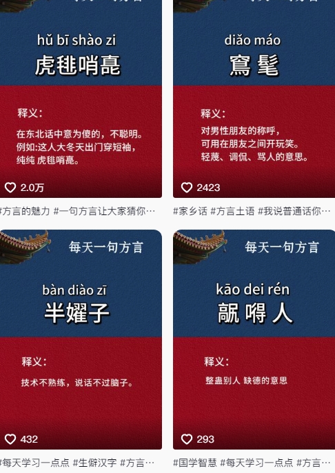 抖音最新涨粉玩法，【方言】图文暴力涨粉实操，126作品涨粉11W-AI创作学习-提示词应用-短视频玩法AI智创工坊