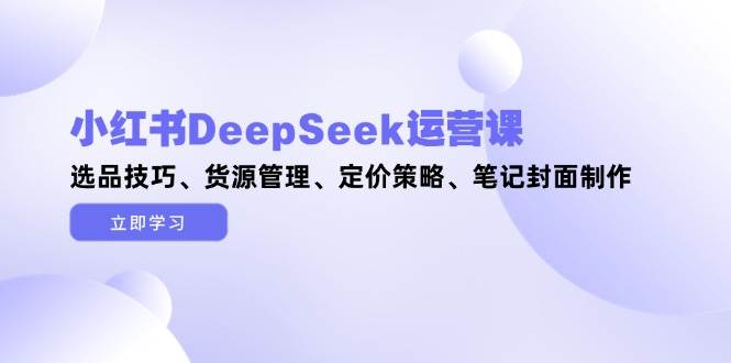 小红书DeepSeek运营课，选品技巧、货源管理、定价策略、笔记封面制作-AI创作学习-提示词应用-短视频玩法AI智创工坊
