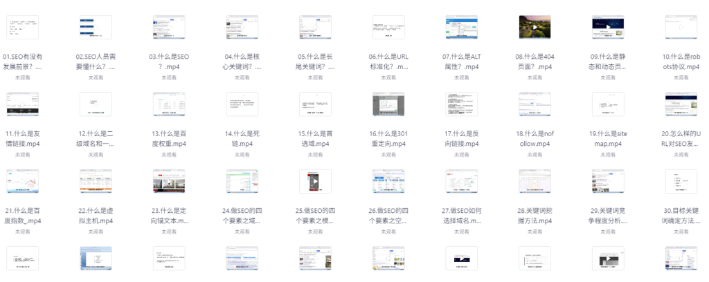 零基础SEO优化课程，手把手教你做SEO优化，只讲干货-AI创作学习-提示词应用-短视频玩法AI智创工坊