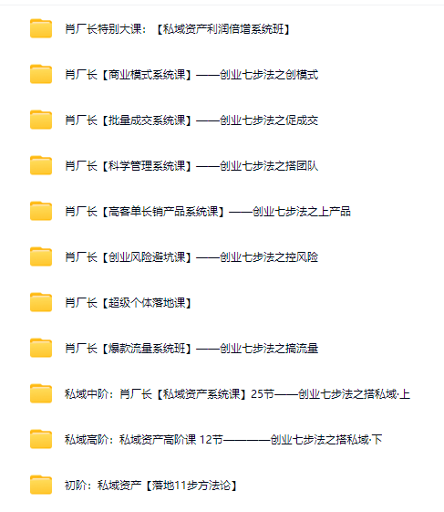 图片[2]-AI创作学习-提示词应用-短视频玩法肖厂长：一人公司私域联盟，高客单私域，强人设成交，建私域 搞发售 广结盟 造势能-AI创作学习-提示词应用-短视频玩法AI智创工坊