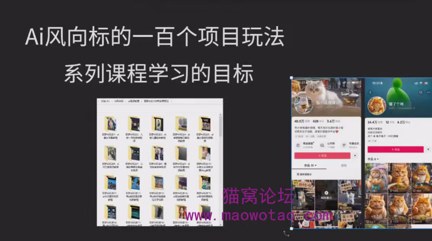 AI风向标：AI视频商业应用教学，附100种项目案例玩法-AI创作学习-提示词应用-短视频玩法AI智创工坊