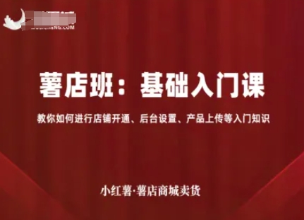 小红书电商：基础入门课+进阶流量课：店铺开通、后台设置、产品上传、选品、引流，卖货-AI创作学习-提示词应用-短视频玩法AI智创工坊